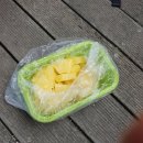 와이(Y)행정사 사무소 | [산행]도봉산: 다락능선+Y계곡, 바위타기 최애 코스로 등극