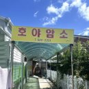 호야암소한마리 이미지