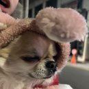 멜론당구클럽 이미지