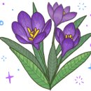 미스코다리 미스터 황태 이미지