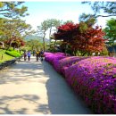 서일식당 이미지