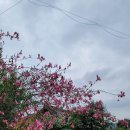 보문 스테이 이미지