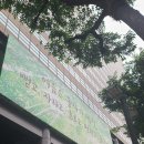 광화문글판 2025년 여름편 : 여름은 동사의 계절, 이재무의 '나는 여름이 좋다' 이미지