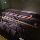 학교형태 | 진주 경상국립대학교 박물관 [1]
