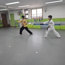 T.S 한국체대 한일태권도장 이미지