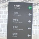 서수상사 | 경복궁(2010.07.03)-6