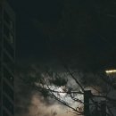 다소곱 | 노릇하게 구워주는 다산 소곱창 다소곱 후기