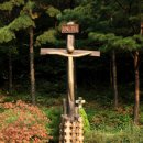 솔리데오 이미지