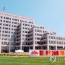일라이디자인