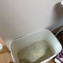 오렌지나이트 | [리뷰] 써유모래 오렌지랑 미야옹철 퓨저나이트 슈퍼볼로 모래갈이한 후기