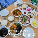 강원도 여행코스 추천 속초재래시장근처 물회 맛집 속초항아리물회 후기