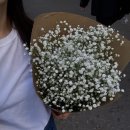 하이디뉴욕 | [ 뉴욕 ] 뉴욕 도서관 추천, 자유의 여신상 무료 페리, 일 년 만에 재회한 하이디