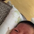 서하목장 이미지