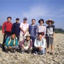 강변살자 이미지