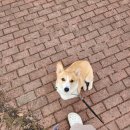 명륜체육관 이미지