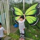 오치카리타스어린이집 이미지