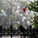 동인당한의원 이미지