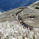 은빛바다 이미지