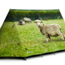 감자꽃스테이 이미지