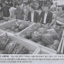 수소나라 이미지