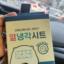 솔온누리약국 이미지