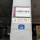 바디라인 | 홍대 다이어트 마포 다이안 LPG 알리안스 반신 25분 바디라인 관리 후기