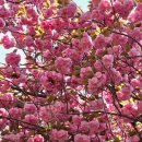 차1리 경로당 이미지