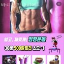 바디점핑다이어트 네이버블로그