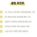 수제청청춘 이미지