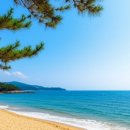 동해바다 이미지