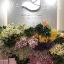 스노우폭스플라워 - 서대문구 연세로 19 | 스노우폭스플라워