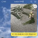 수에룬 이미지