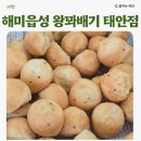 태안 해미읍성 왕꽈배기 내돈내산 솔직후기