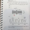 5장 세포막의 구조와 물질수송 2번 이미지