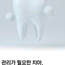 대청리 이미지