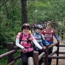 영월선돌 이미지