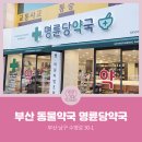 명륜당약국 이미지