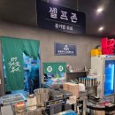 보배반점광명