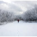 바람개비 이미지