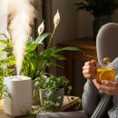 편도염 자주 걸리는 사람의 면역관리 이미지