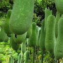 백곡농장 이미지