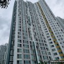 울산강남고등학교 이미지