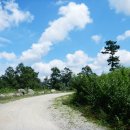 드림목장 이미지