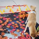 아리엘언니 이미지