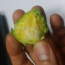 평화농장(2) 이미지