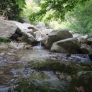 토마토펜션 이미지