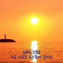 연신유도체육관 Daum카페