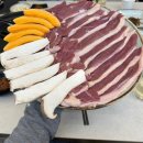 합천한방오리 이미지