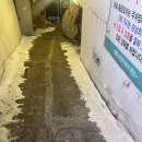 송정 농장 이미지