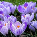 환희약국 이미지